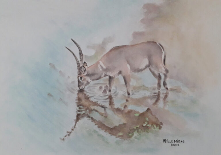 Letaba Reflection – Watercolor Art Southern Africa