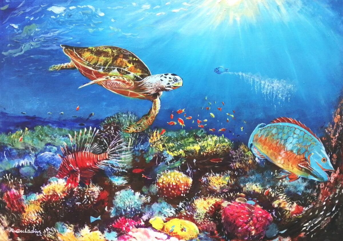 riaz-auladin-a-mauritian-thriving-coral-reef-ecosystem-600x850-rs